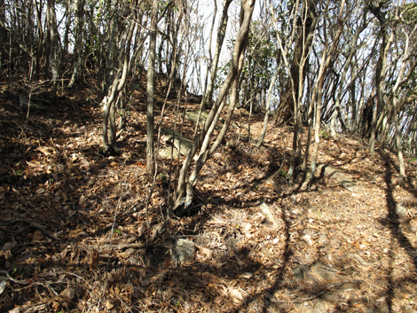 20140103hike (155)